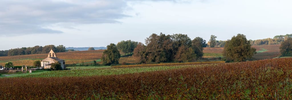FRANCE, GIRONDE, ENTRE DEUX MERS VINEYARDS, CHURCH WITH AUTUMN COLORS. High quality photo