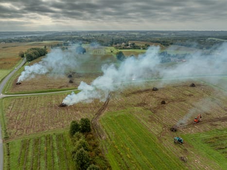 FRANCE, GIRONDE, NAUJAN-ET-POSTIAC, BORDEAUX VINEYARD UPROOTING CAMPAIGN WITH BACKHOE LOADER. High quality photo