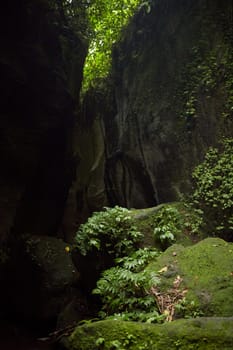 Rocks and huge boulders covered with moss in the jungle on the popular island of Bali