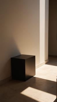 In a contemporary space, a black cube stands in the corner, highlighted by soft afternoon light streaming through.
