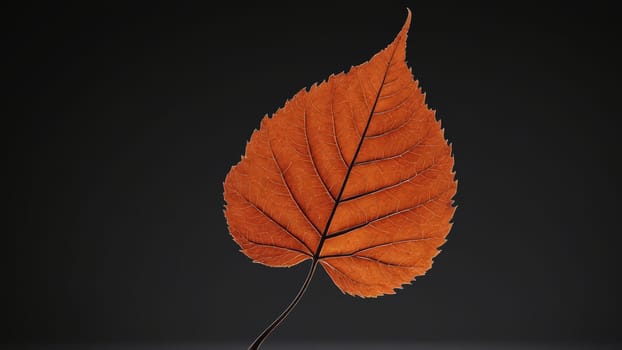 A vibrant orange leaf floats mid-air, showcasing its intricate veins and delicate shape, surrounded by a rich black background that accentuates its beauty and symbolizes the arrival of fall.