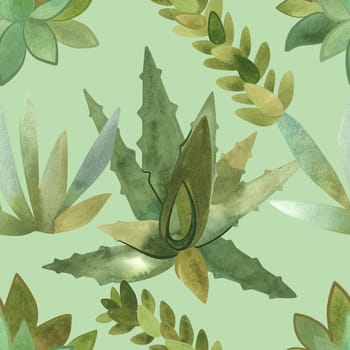Succulents: seamless watercolor pattern on a white background for wrapping paper and print on fabric, home textiles. Home gardening, hobby