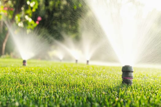 Water jets irrigating a lawn in a park on a sunny summer day