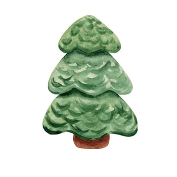 Fir tree. Watercolor illustration of a coniferous tree. Fluffy green fir tree. Fluffy forest beauty is hand-drawn.
