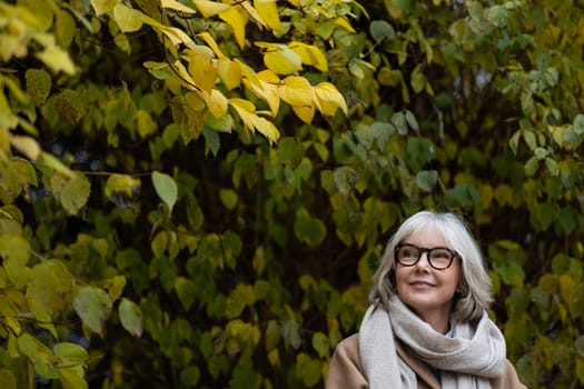 A woman with gray hair and glasses smiles while standing in a lush garden filled with yellow and green foliage. The warm autumn sunlight bathes the scene in a peaceful glow.