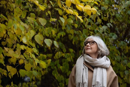A woman with gray hair and glasses is gazing thoughtfully at the colorful leaves surrounding her in an autumn garden. The sunlight creates a warm atmosphere.