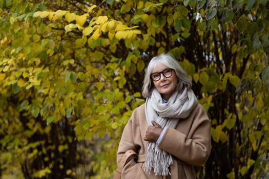 A woman with gray hair enjoys the serene beauty of a park in autumn. She wears a warm scarf and a stylish coat while standing beside bright yellow leaves, reflecting the season's charm.