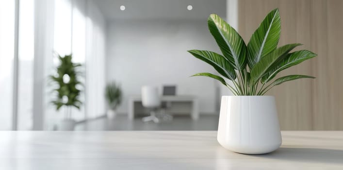 Cosy office: spacious layout, bright lighting, green accents, calming atmosphere, blank text space, modern decor, tranquil environment, natural elements, creative workspace, minimalist design