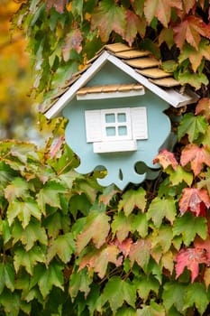 A small, blue and white birdhouse with a brown roof is nestled amongst green and red leaves.