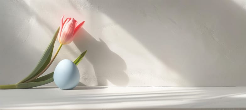 Smooth white surface adorned with a pastel-colored easter egg and pink tulip, creating a modern minimalist aesthetic. soft shadows and gentle light enhance the clean, serene atmosphere, ideal for contemporary designs and seasonal themes.