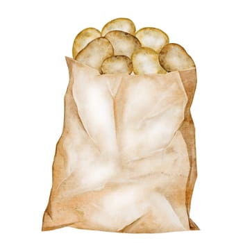 Potato watercolor illustration. Ripe vegetable in a paper bag hand drawn on white isolated background. Organic farm product. Ideal for potato product label, tags and posters. High quality illustration