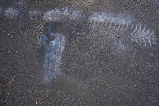 A top-down view of a reflective puddle of oil or gasoline on saturated asphalt.