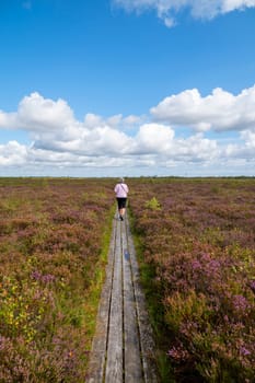 An elderly woman walks alone on a wooden path through scenic moors and heather fields under a bright blue sky. The landscape features lush purple flowers