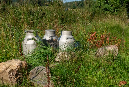 Three traditional milk cans are nestled among vibrant greenery and stones in a serene rural landscape, evoking rustic charm and pastoral simplicity.