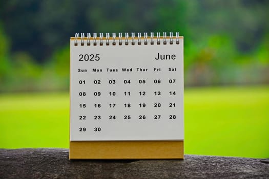 June 2025 white calendar with green blurred background.