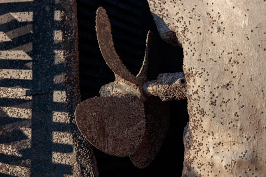 The propeller and bottom of boat covered with Acorn barnacles Semibalanus balanoides, ready to be scraped, cleaned and coated with antifouling paint for yachts