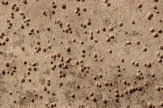 The bottom of boat covered with Acorn barnacles (Semibalanus balanoides), ready to be scraped, cleaned and coated with antifouling paint for yachts, Many shells on the boat