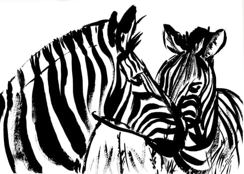 zebra head close drawn with black paint on a white background for postcards and illustrations as well as textiles