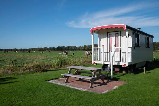 a beautiful old white camper on a campsite with a lawn and cows in the background and a picnic table in the foreground