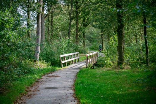 adult woman on a bicycle in a nature reserve in Friesland with a wooden bridge over a small river