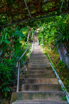 Up the stairs through the jungle on Koh Phi Phi Don island in Ao Nang Amphoe Mueang Krabi Thailand in Southeast Asia.