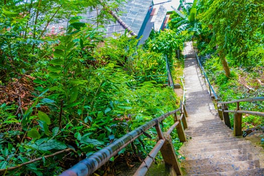 Up the stairs through the jungle on Koh Phi Phi Don island in Ao Nang Amphoe Mueang Krabi Thailand in Southeast Asia.