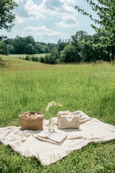 Enjoying a peaceful summer picnic in a meadow, featuring a blanket, basket, flowers, and napkins