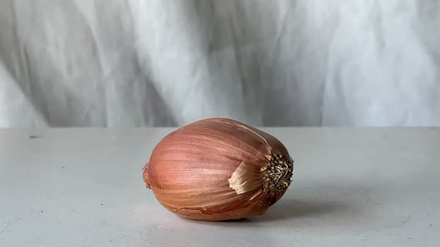 A single shallot is placed on a kitchen counter, showcasing its smooth skin and shape.