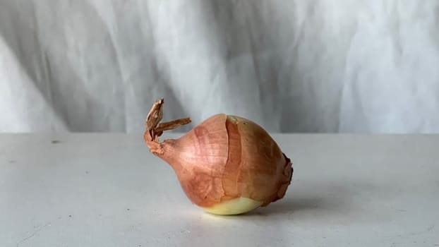 A single brown onion sits on a smooth surface, illuminated by soft light.