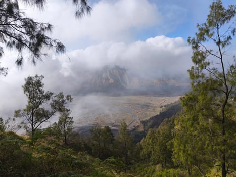 A misty mountain landscape with a foreground of dense vegetation and a hint of a tree line in the distance near Bromo Mountain, Indonesia