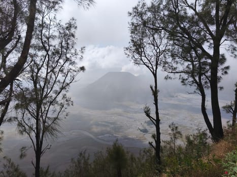 A misty mountain landscape with a foreground of dense vegetation and a hint of a tree line in the distance near Bromo Mountain, Indonesia