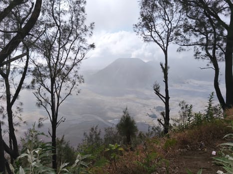 A misty mountain landscape with a foreground of dense vegetation and a hint of a tree line in the distance near Bromo Mountain, Indonesia