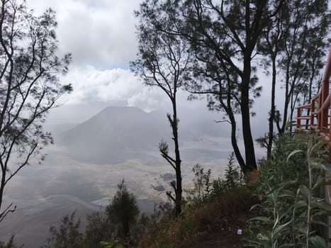 A misty mountain landscape with a foreground of dense vegetation and a hint of a tree line in the distance near Bromo Mountain, Indonesia
