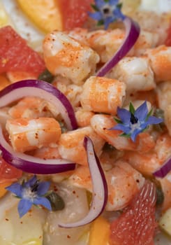RECIPE CEVICHE OF SHRIMPS AND SCALLOPS WITH CITRUS FRUIT, LEMON, LIME, SQUEEZED ORANGE, GRAPEFRUIT AND FRUIT, PERSIMMON, APPLE, SEASONED WITH ESPELETTE PEPPER. High quality photo