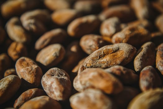Closeup of drying cocoa beans, revealing texture and wrinkles, ready for chocolate production