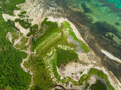 Aerial view of Mangroves on a tropical island. Mangrove landscape. Bantayan island, Philippines.