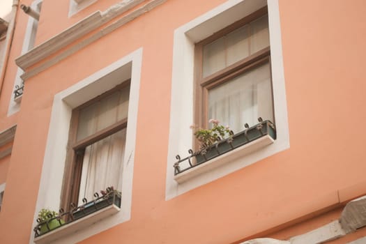The building has a colorful exterior with picturesque windows adorned with vibrant plants
