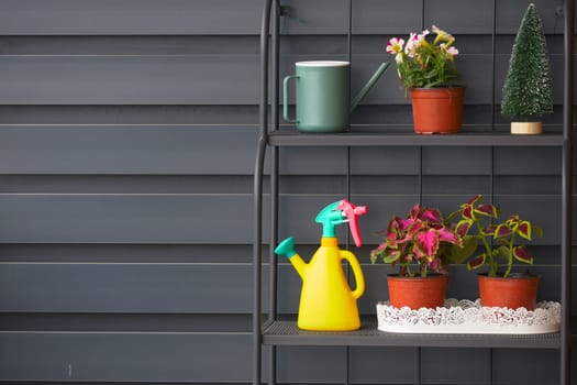A colorful display of various plants and gardening tools arranged on a stylish shelf