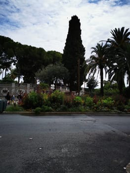 A scenic view showcases a colorful garden featuring a variety of plants and flowers, framed by towering palm trees and a majestic cypress, all set beside a quiet road.