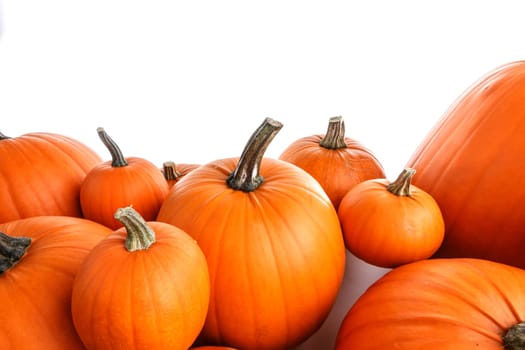 Many orange pumpkins frame isolated on white background, autumn harvest, Halloween or Thanksgiving concept