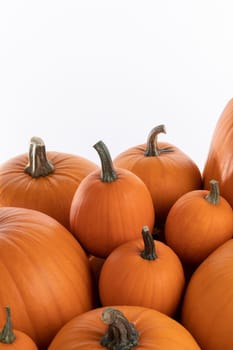 Many orange pumpkins frame isolated on white background, autumn harvest, Halloween or Thanksgiving concept