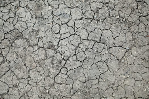 This is a closeup view of a dry, cracked surface that serves as an ideal background for design projects