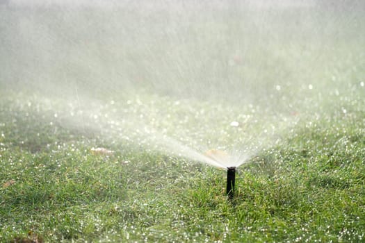 A closeup view of a lawn sprinkler effectively watering fresh, vibrant green grass on a sunny day outdoors