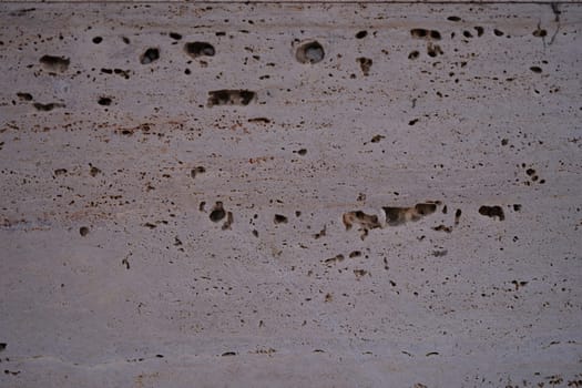 This image shows a closeup of a uniquely textured concrete surface with distinct pockmarks and subtle veins