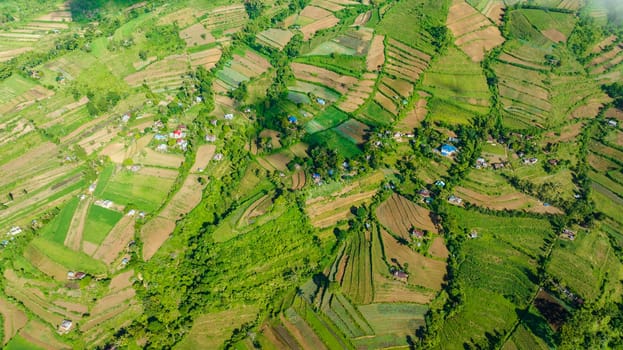 Top view of agriculture and farmland in a mountainous area near the Canlaon volcano. Negros, Philippines