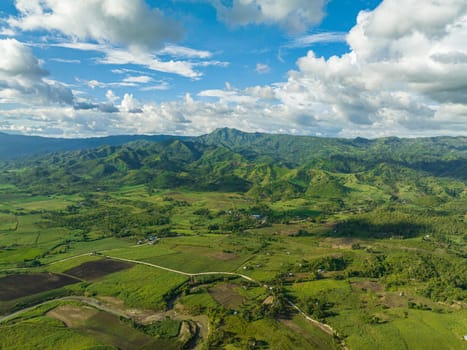 Farmland with growing crops and sugar cane in a mountain valley. Negros, Philippines