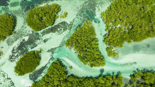 Aerial view of islands in a beautiful lagoon. Tropical landscape. Bantayan island, Philippines.