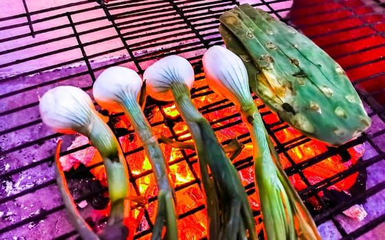 Grill party grill vegetables onions eggplant and nopal in Playa del Carmen Quintana Roo Mexico.