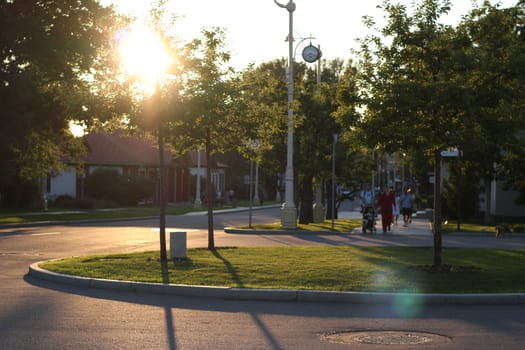 Enjoy a serene and peaceful evening stroll through a beautifully lush park, basking under the warm golden sun