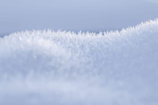 Fresh white snow background. Natural winter backdrop. Texture in blue tones